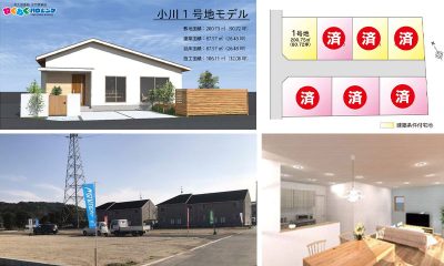 グレイスタウン小川
